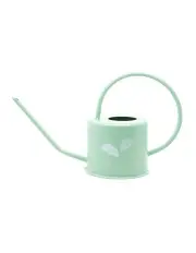 [RAYELL] Ginkgo Metal Watering Can 36cm in Pistachio