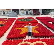 Save 5.00%! Discover Hanoi Ancient Villages, Traditional Crafts Private Tour