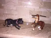 PAPO CENTAUR AND CERBERUS SET OF MYTHICAL CREATURES