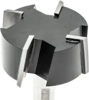 Torquata Dado Planer Router Bit, 2-Inch Diameter x 25.4 mm Cutting Height
