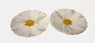 Home Target Summer Simplicity Melamine White Flower 2 Salad Plates 8" NEW!