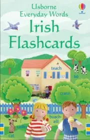 Everyday Words In Irish Flashcards by Kirsteen Robson Paperback Book