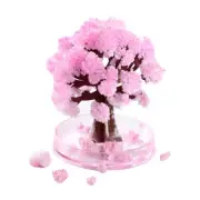 DIY Magic Sakura Crystal Tree | Paper Cherry Blossom Desktop Decoration