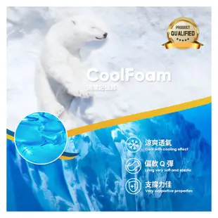 【 Famo 】CoolFoam 零度枕 帝王枕 ( 超值 2 入組 ) 任意搭配 零硬度 枕頭 [ SGS 認證 ]