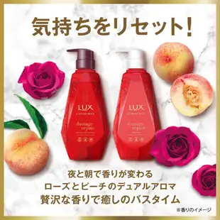 LUX麗仕 璐咪可 無矽靈 洗潤組 【樂購RAGO】 日本製 期間限定