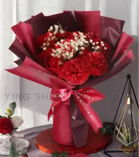 在飛比找PChome24h購物優惠-【贈禮盒提袋】母親節康乃馨花束-酒紅色（11支花朵）