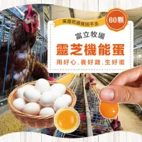 在飛比找momo購物網優惠-【初品果】x富立牧場靈芝機能雞蛋60顆x1箱(白蛋_48小時