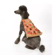 PIZZA Halloween Beagle Poodle Hound Terrier Costume Medium Dogs 20-50 Lbs NEW
