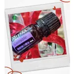 💖MANDY 限量促銷💖 DōTERRA 多特瑞撫慰複方精油5ML  原廠公司貨