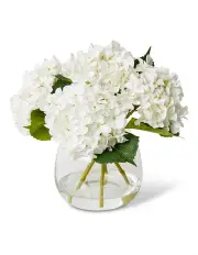 [Elme Living] Hydrangea-Alma Vase in White