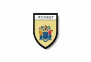 PATCH PATCHES EMBLEM IRON ON GLUE PRINT FLAG world crest usa new jersey