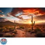 Sunset Desert Reptile Tank Background Sunrise Desert Gobi Landscape Aquarium
