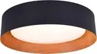 Flush Mount Ceiling Light,13 Inch Ceiling Light Fixtures,Matte Black with Wood A