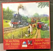 WATCHING THE TRAINS 1000 pc Jigsaw Puzzle NEW & SEALED Kevin Walsh SunsOut 13792