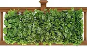 Patio Fence Privacy - Expandable Balcony Privacy Screen,Expanding Garden Trellis Panels Greenery Backdrop Decoration for Apartment Home