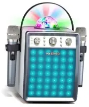 Karaoke Machine for Adults and Kids with 2 Wireless Microphones, White