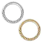 Segment Ring Clicker Hinge Titan G23 Septum Nose Piercing Ring Hammered Z584