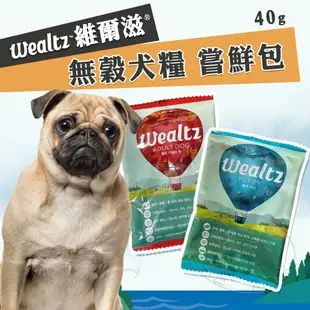 【松寶館】Wealtz 維爾滋 ∣嚐鮮包∣ 40g 天然無穀犬飼料 韓國品牌飼料 寵物飼料 狗糧 (6折)