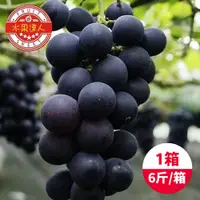 在飛比找鮮拾優惠-【水果達人】 台灣一級巨峰葡萄x1箱(6斤±10%/箱)