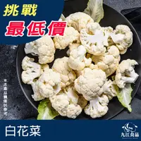 在飛比找蝦皮購物優惠-【九江食品】冷凍白花菜／1kg／1500免運／花椰菜／白花椰