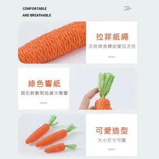 【在台現貨】寵物玩具 紅蘿蔔玩具 紅蘿蔔紙質玩具 蘿蔔玩具 拔蘿蔔玩具 寵物磨牙玩具 寵物發聲玩具 紙質紅蘿蔔寵物玩具