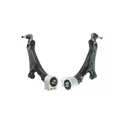 2 Pcs Trupro Front Lower Control Arms for Chevrolet Captiva C140 CG26 2.2L 11-On