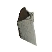 106g Muonionalusta meteorite slice TC83