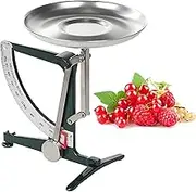 Mechanical Kitchen Scale, 1kg Battery-Free Metal Balance Scale with Stainless Steel Pendulum & 19cm Aluminum Tray, Error Range ±8g, for Electronics, Scientific Research, Food Green