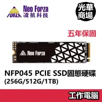 在飛比找蝦皮商城優惠-凌航 Neo Forza NFP045 256GB 512G