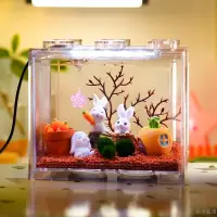 在飛比找蝦皮購物優惠-海藻球生態缸 diy創意水藻球 生態瓶 寵物馬里莫微景觀 奇