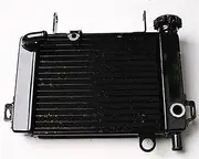 Rynplex Motorcycle Engine Radiator Water Cooler Cooling System CBR125R 2004-2011 2005 2006 2007 2008 2009 Motorcycle Engine Radiator
