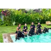 Save 20.00%! Discover Scuba Diving