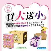 在飛比找momo購物網優惠-【YappiDog 雅皮狗】買1箱送1箱 雅皮狗100抽衛生