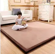 Coral Velvet Area Rugs Play Mat 3cm Extra Thick Large Area Carpet Crawling Nursery Baby Toddler Children Kids Room Non-Slip Yoga Mat Exercise Pads Tatami Mat (Style4, 200 * 300cm)