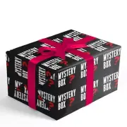 NEW Mystery Bundle 10 Pc Mixed Sizes Men Women NORDSTROM Brands Value Up $450