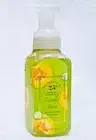 1 Bath & Body Works CUCUMBER MELON Gentle Foaming Hand Soap 8.75 oz