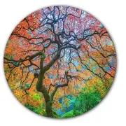 Tree Of Zen Tranquil #2 Slipmat Turntable 12" LP Record Player DJ Audiophile