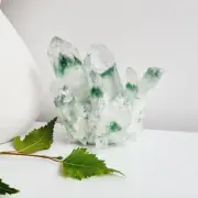 Green Phantom Quartz Crystal Cluster Mineral Specimen Display 8cm