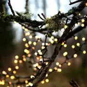 Eglo 700 LED Warm White Berry Fairy Lights