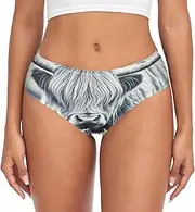 [RPLIFE] Highland Cattle Highland Cow Gray Womens Breifs Underware, Breathable Women Panties, Women Brief Spandex Underwear, Highland Cattle Highland Cow Gray, Small