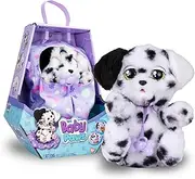 Baby Paws Dalmation