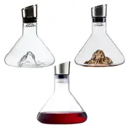 Wine Decanter Built-in Aerator Pourer, Wine Carafe Red Wine Decanter