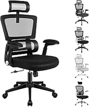 ALFORDSON Mesh Office Chair Swivel Computer Chair with Tilt & Height Adjustment, Ergonomic Executive Office Chair with Built-in Lumbar Support & Tall Backrest, Mesh Fabric Racing Chair(Black)