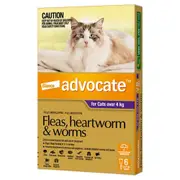 Advocate Cat Bayer 4Kg Plus Large 6'S