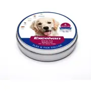 Waterproof Flea Tick Collar For Dog Gray Flea Tick Remedies