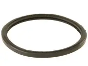 Thermostat O-Ring For 1999-2005 Hyundai Sonata 2000 2001 2002 2003 2004 ZZ456VH (for: Hyundai)