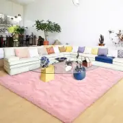 Ultra Soft Pink Rugs for Bedroom 5x8 Feet, Fluffy Shag Area Rugs for Living