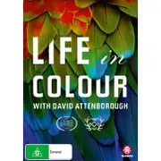Life In Colour With David Attenborough