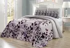 Printed Oversize (115 X 95) Fresca Quilt Set Reversible Bedspread Coverlet King
