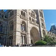 Save 15.00%! Discover the Natural Marvels of London A Museum Visit